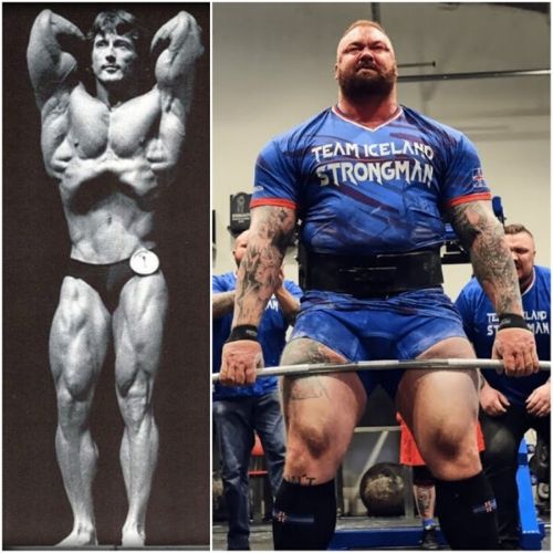Read more about the article Why Are Bodybuilders More Ripped Than Powerlifter ?