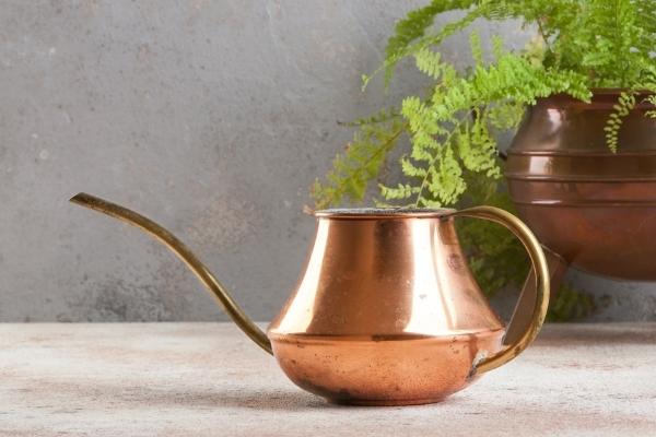 Read more about the article Health Benefits Of Drinking Copper Water