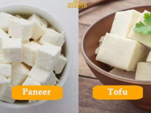 Read more about the article Tofu Vs Paneer – The Wrong Comparison