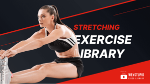Stretching Exercise Library