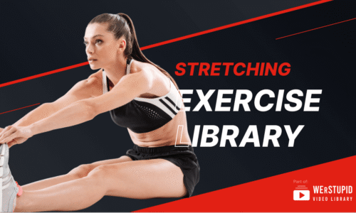 Stretching Exercise Library