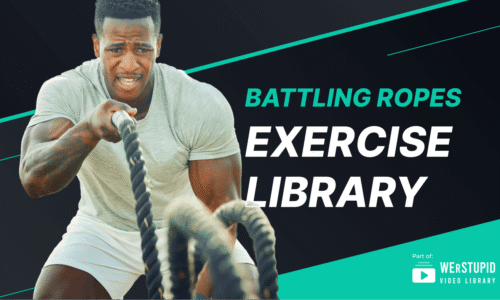 Battling Ropes Exercise Library