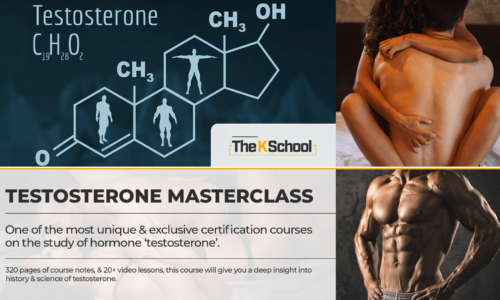 TESTOSTERONE MASTERCLASS