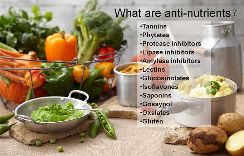 anti nutrients