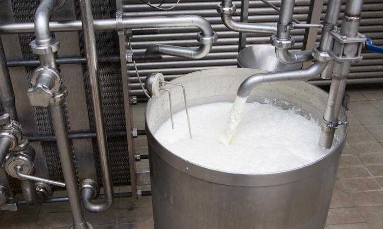 pasteurization of milk