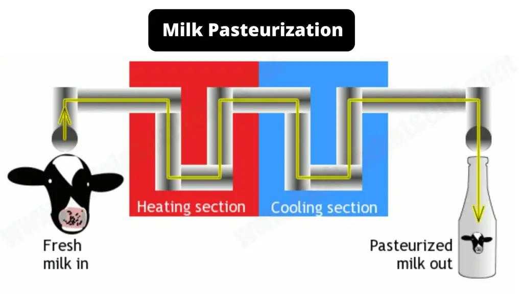 milk processing approach