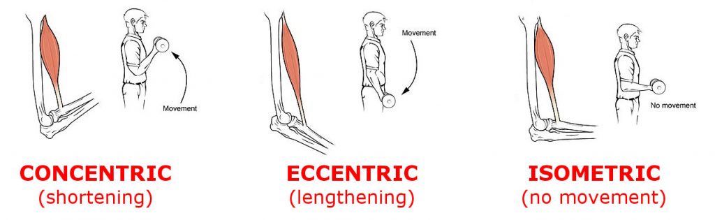 muscle action modalities